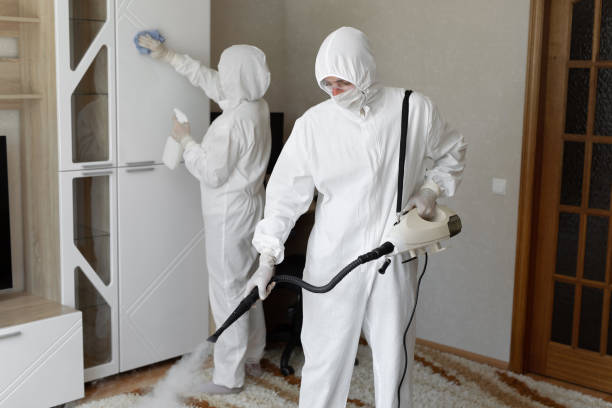 Best Industrial Mold Remediation in Fate, TX